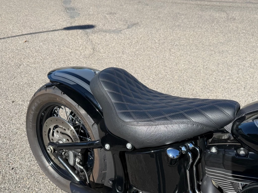 Hoofdafbeelding Harley-Davidson Softail