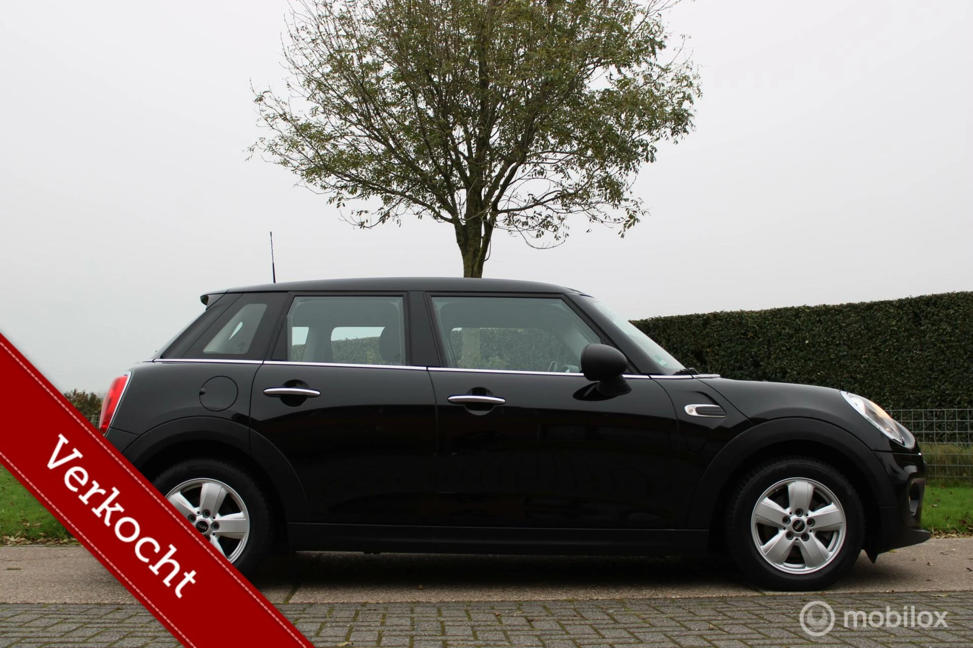 Hoofdafbeelding MINI One