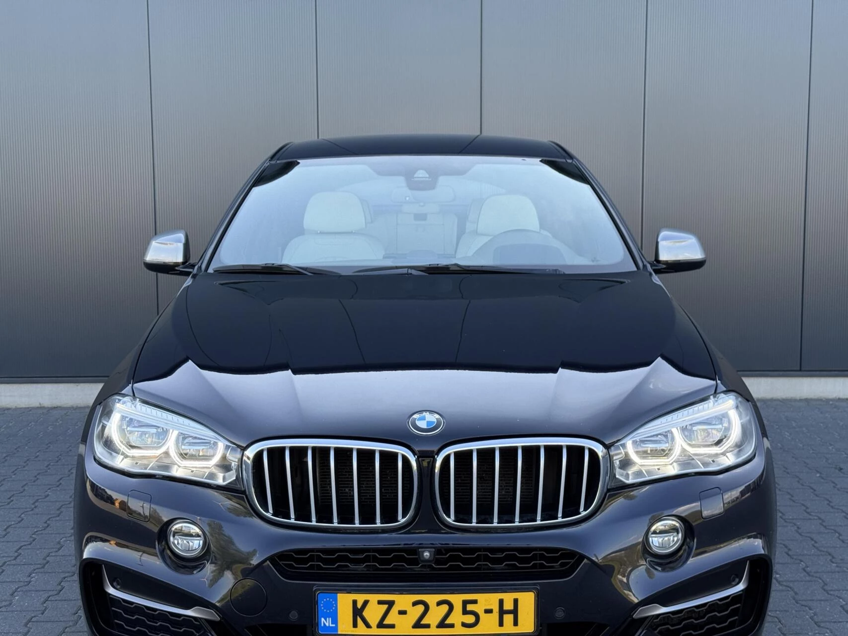 Hoofdafbeelding BMW X6