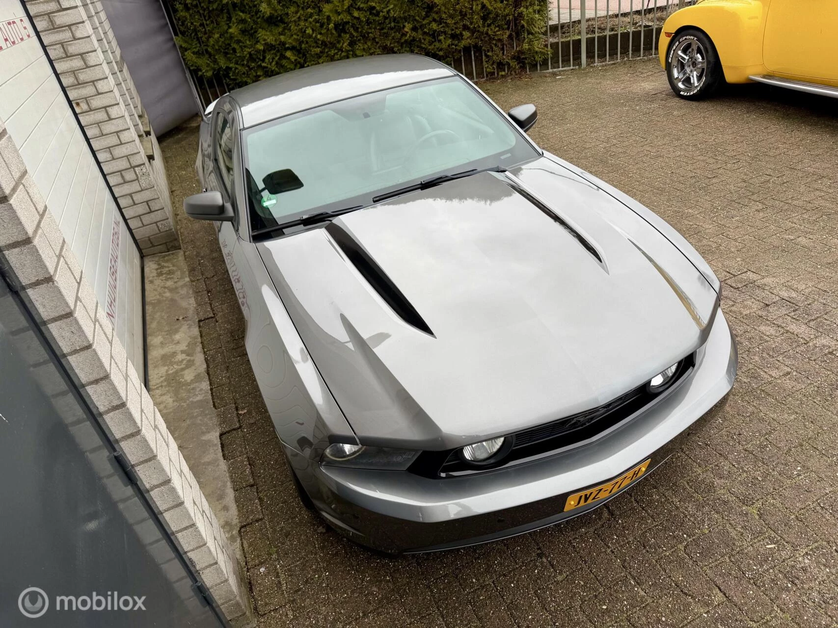 Hoofdafbeelding Ford Mustang