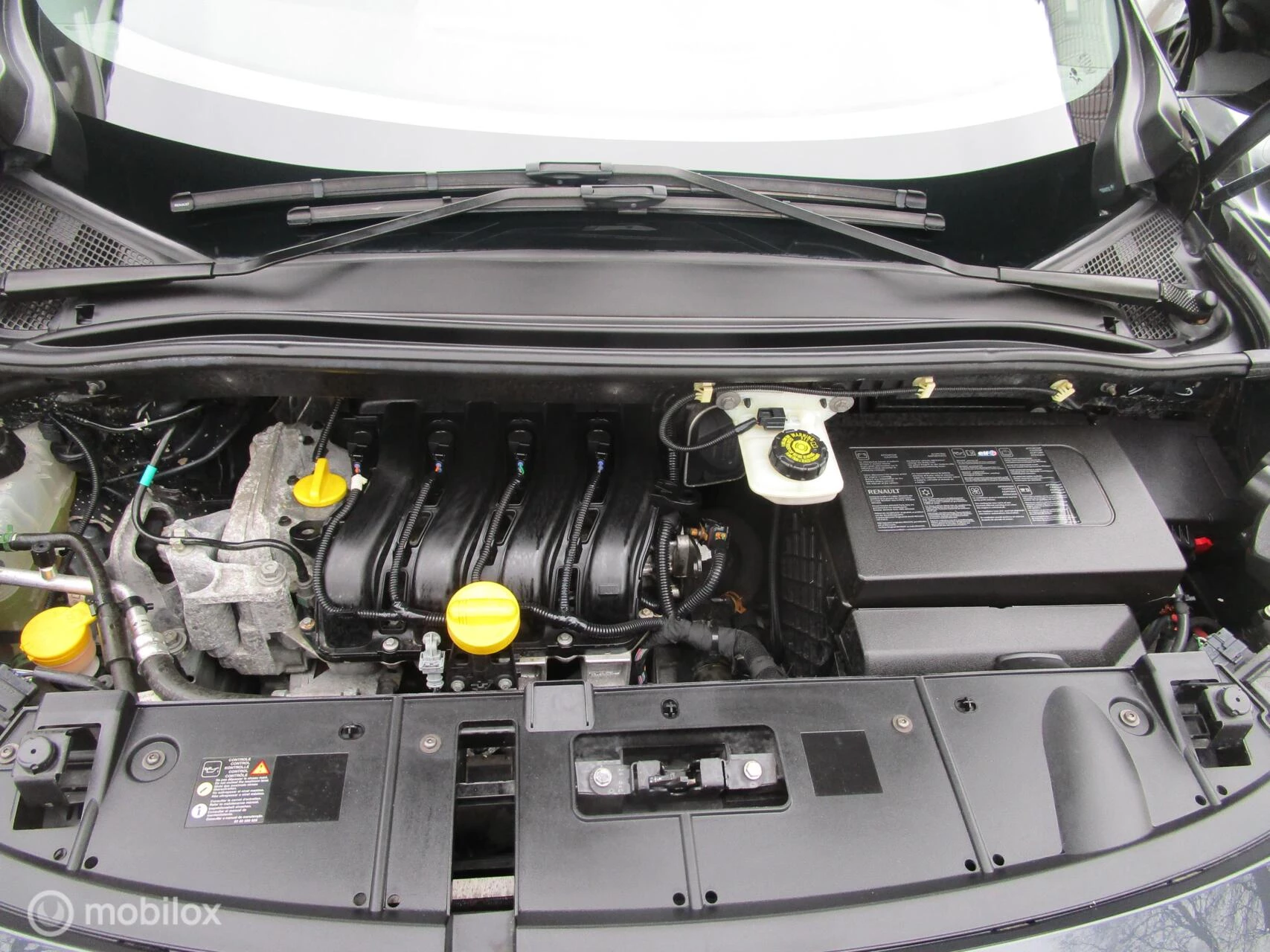 Hoofdafbeelding Renault Scénic