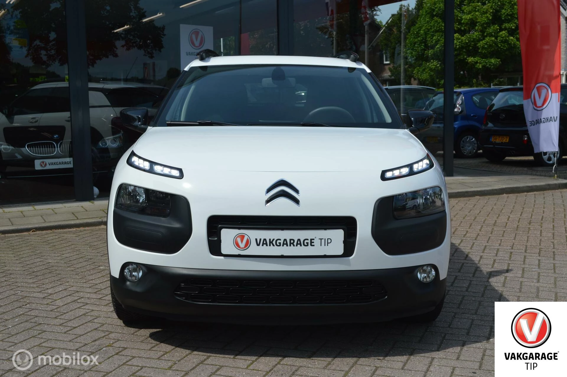 Hoofdafbeelding Citroën C4 Cactus