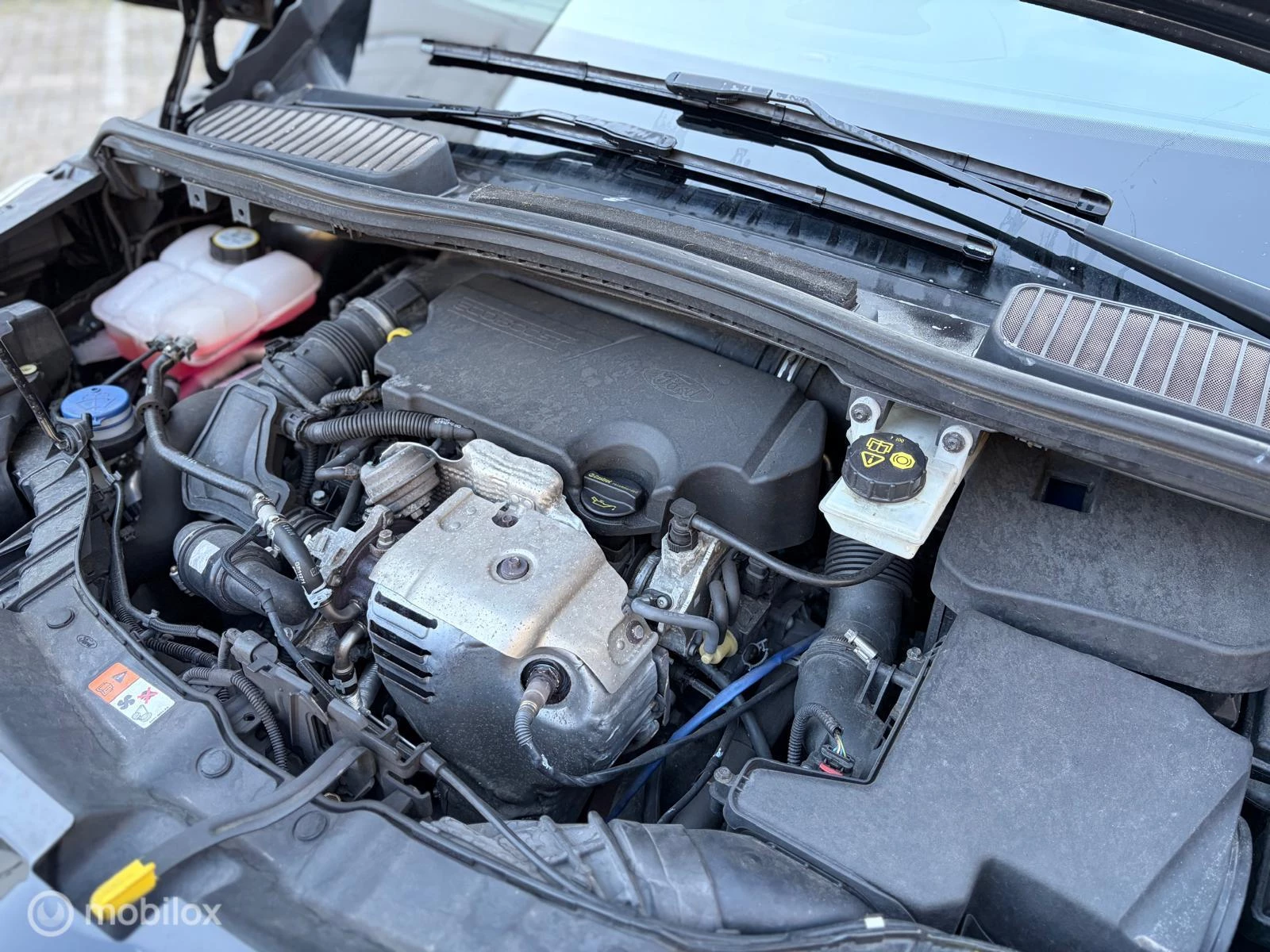 Hoofdafbeelding Ford C-MAX