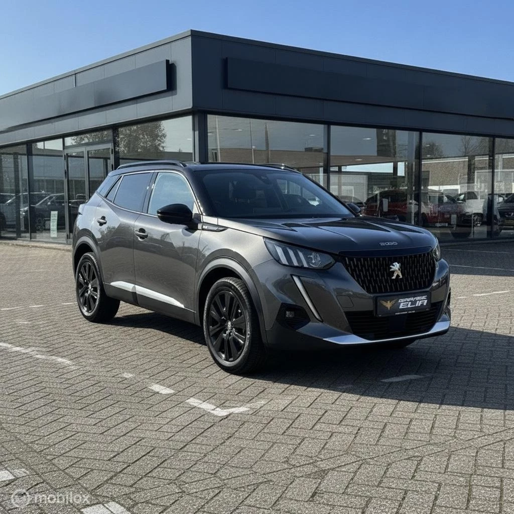 Hoofdafbeelding Peugeot 2008