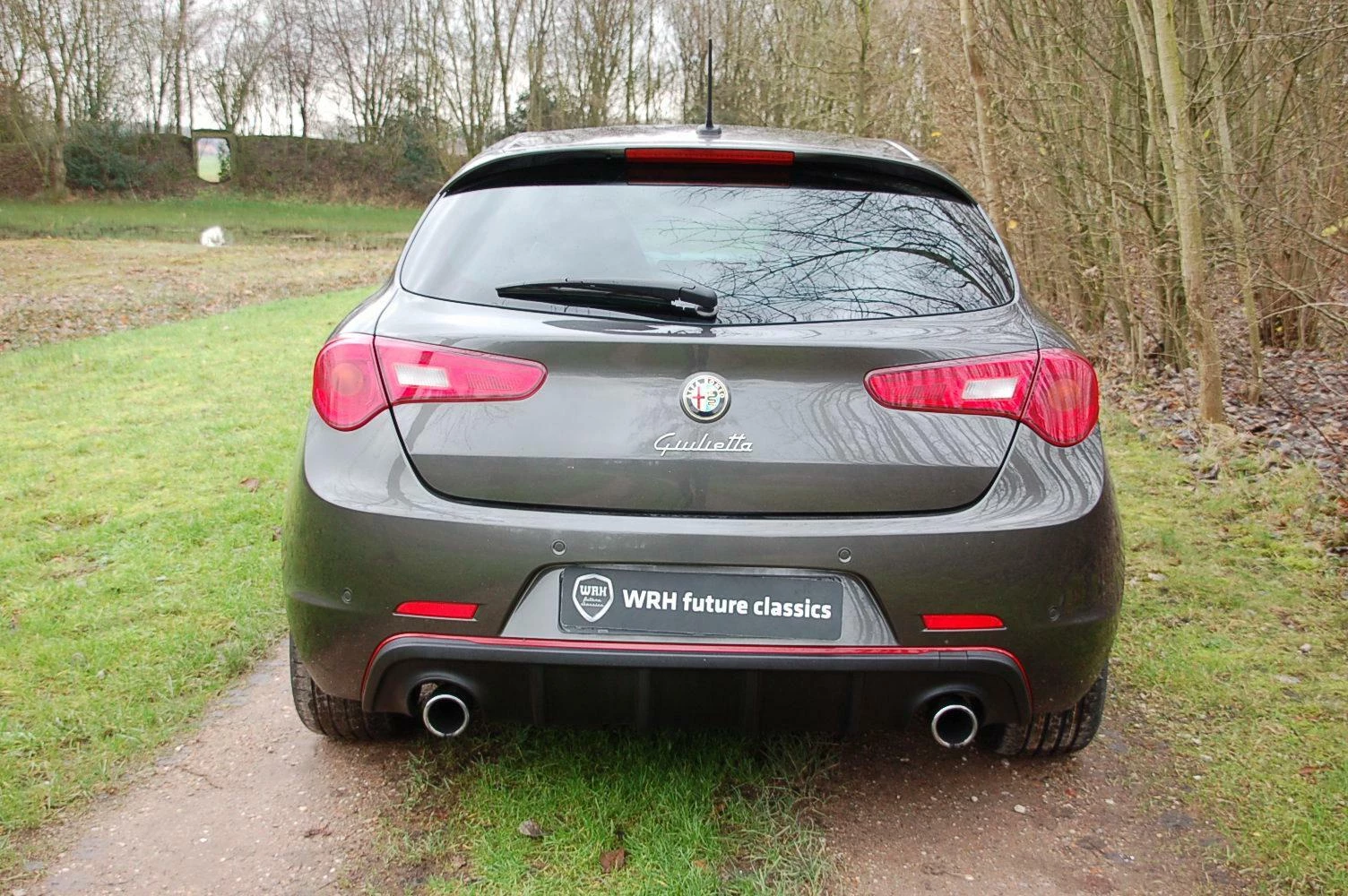 Hoofdafbeelding Alfa Romeo Giulietta