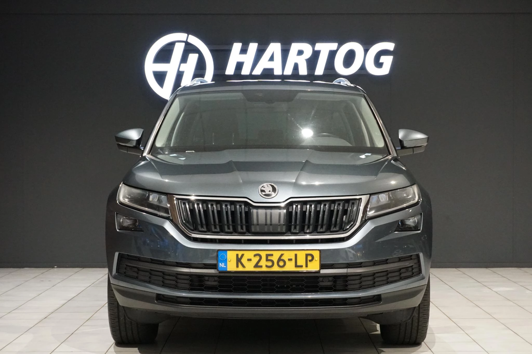 Hoofdafbeelding Škoda Kodiaq