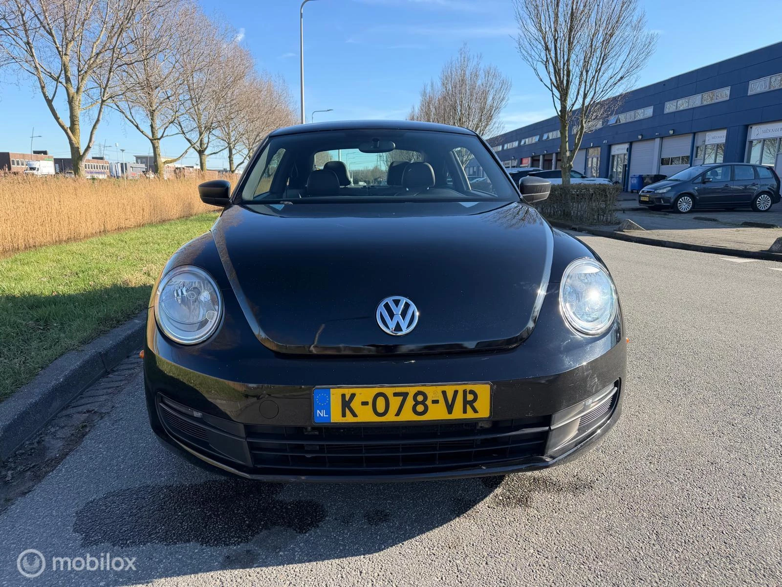 Hoofdafbeelding Volkswagen Beetle