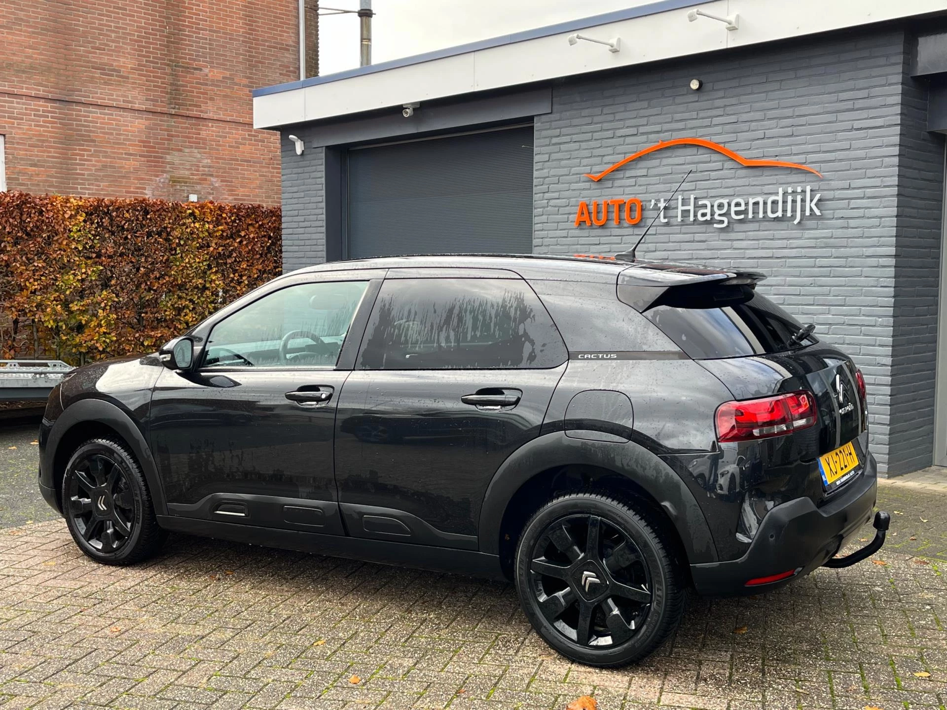 Hoofdafbeelding Citroën C4 Cactus