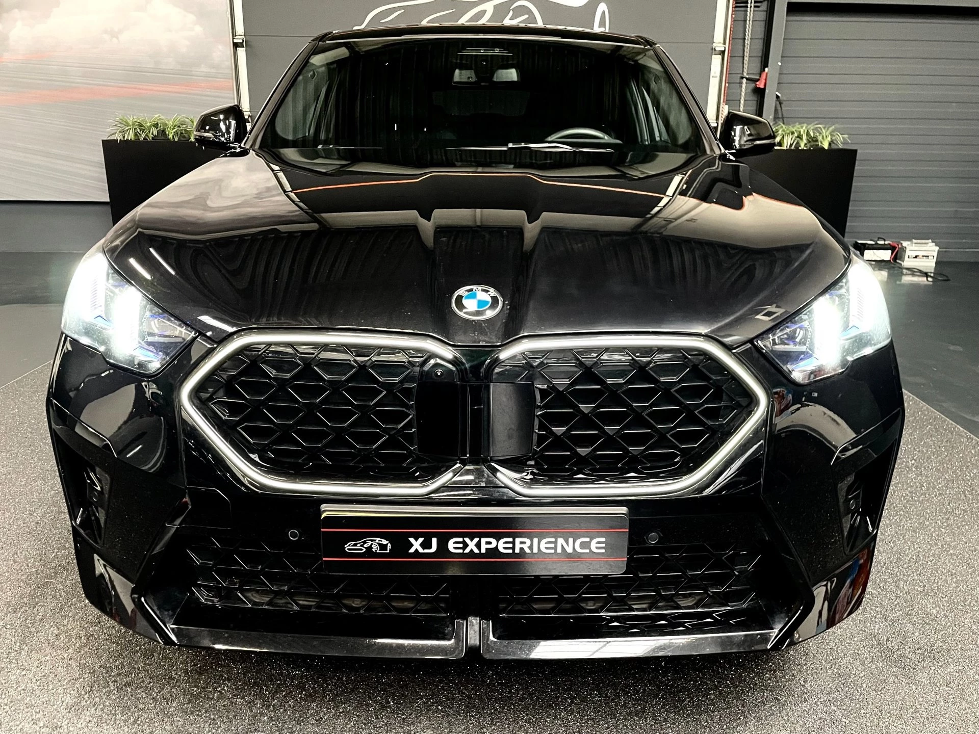 Hoofdafbeelding BMW X2