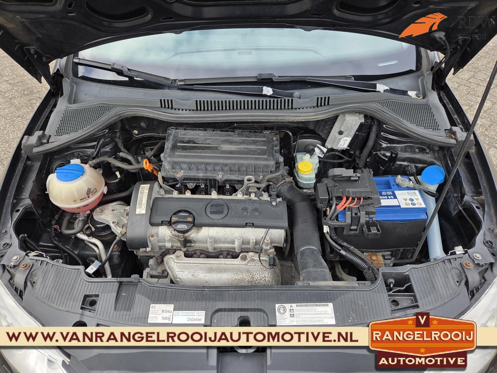 Hoofdafbeelding SEAT Ibiza