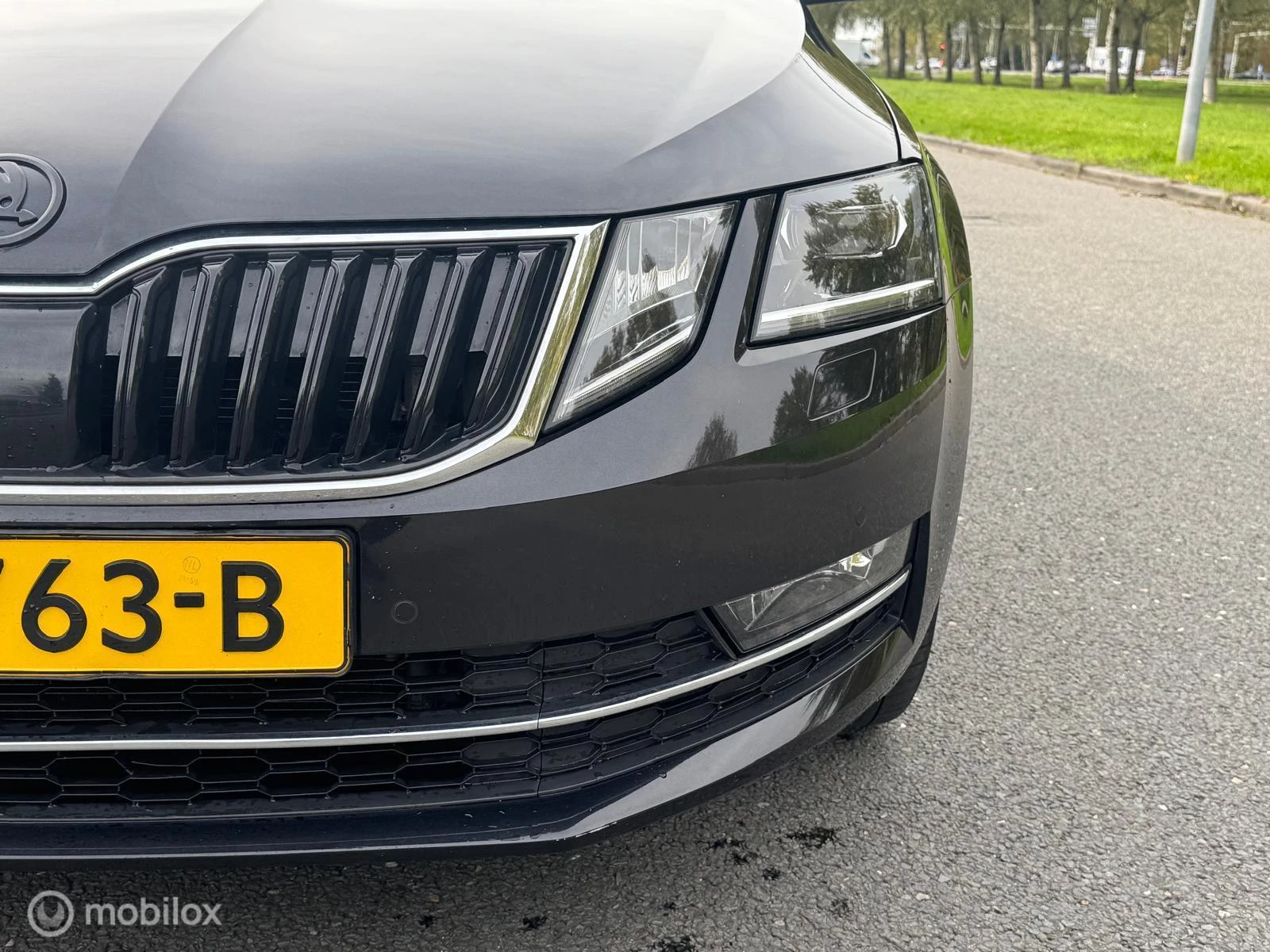 Hoofdafbeelding Škoda Octavia