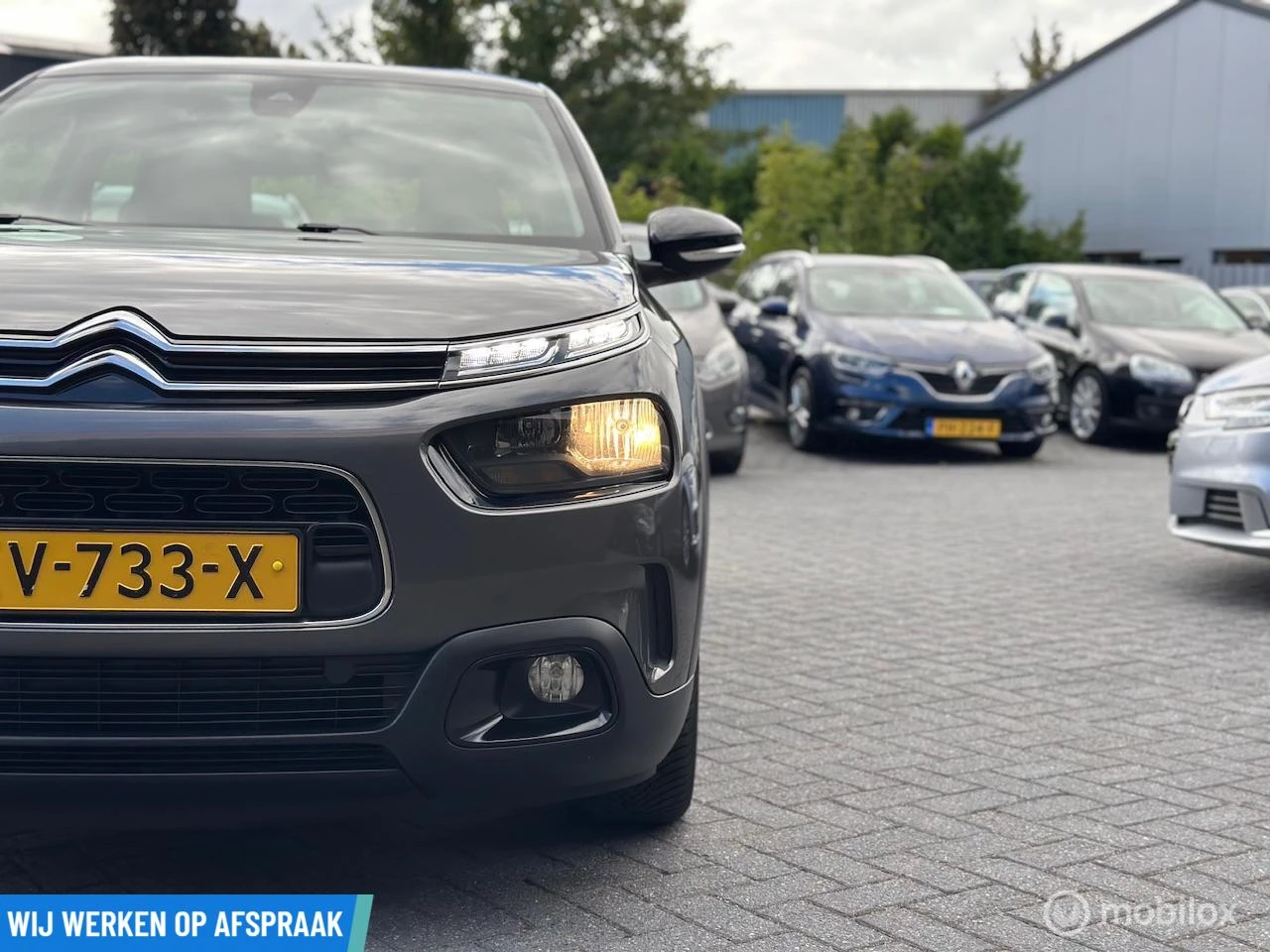 Hoofdafbeelding Citroën C4 Cactus
