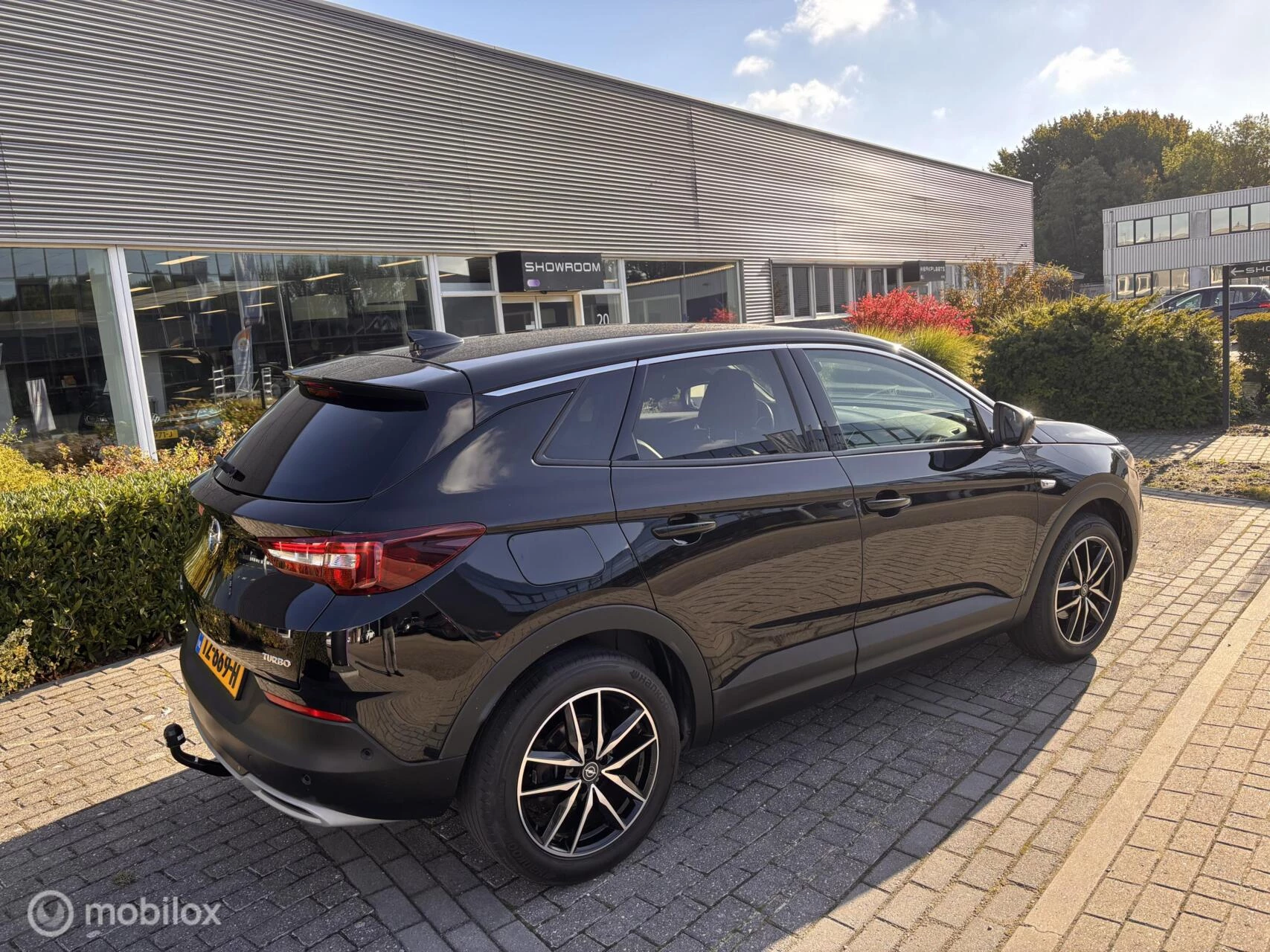 Hoofdafbeelding Opel Grandland X