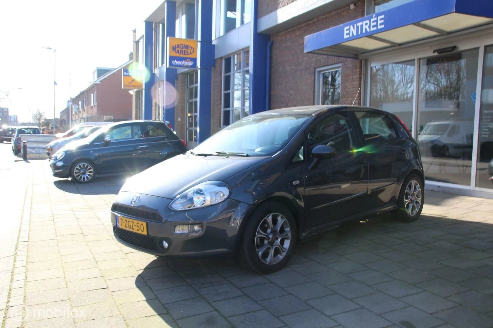 Hoofdafbeelding Fiat Punto