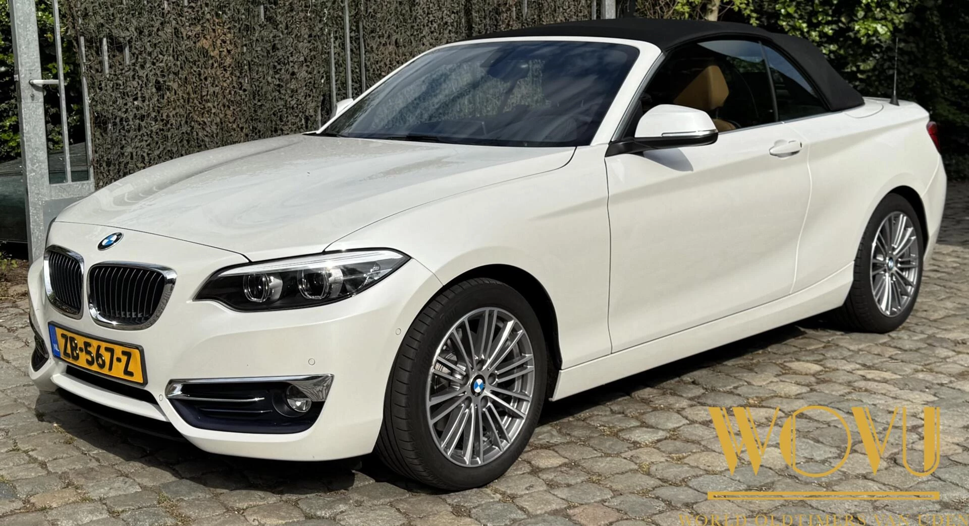Hoofdafbeelding BMW 2 Serie
