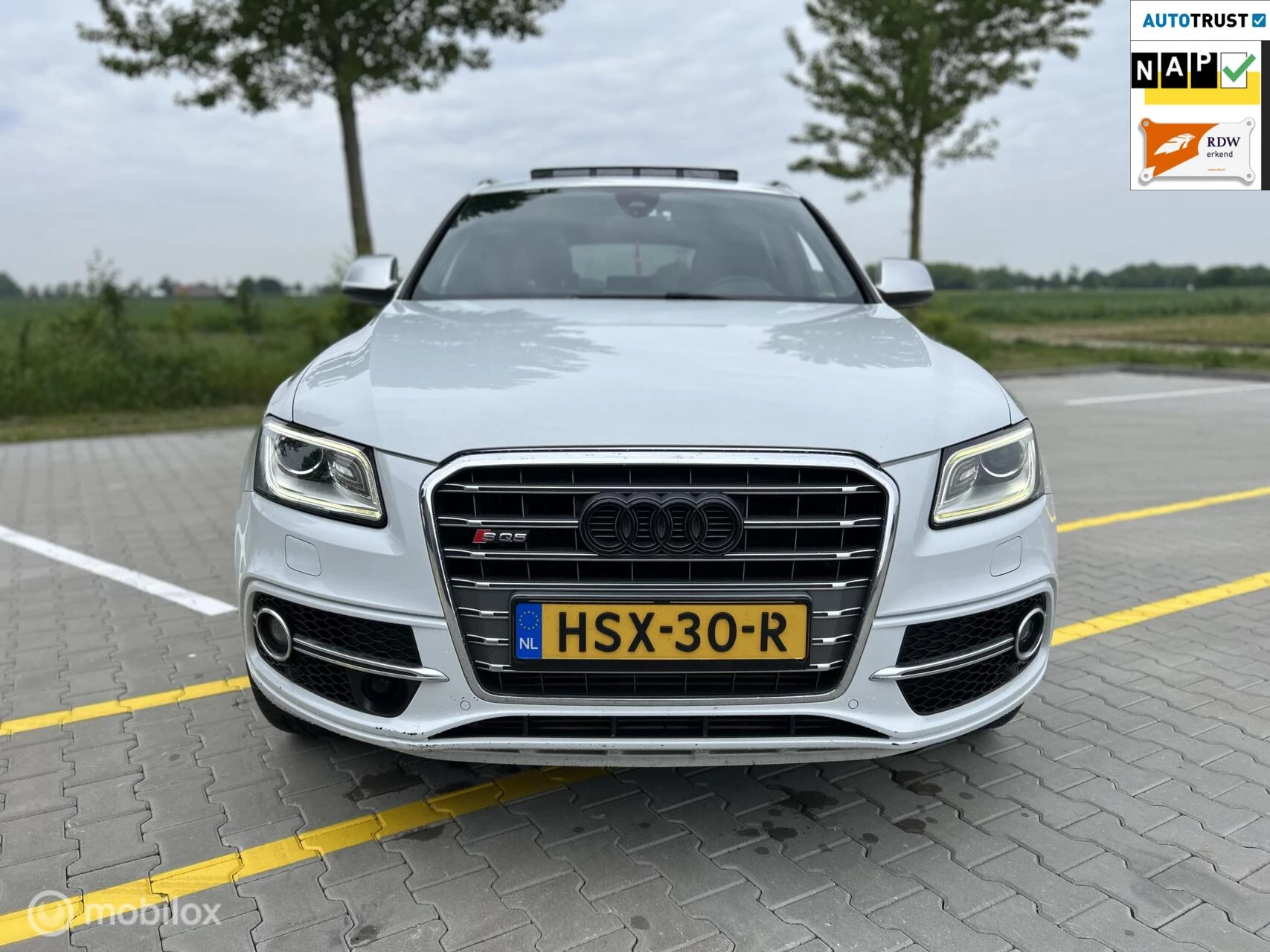 Hoofdafbeelding Audi SQ5