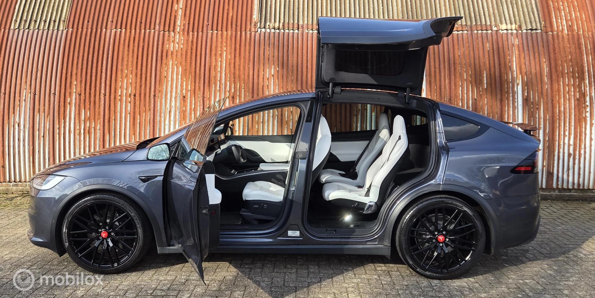Hoofdafbeelding Tesla Model X