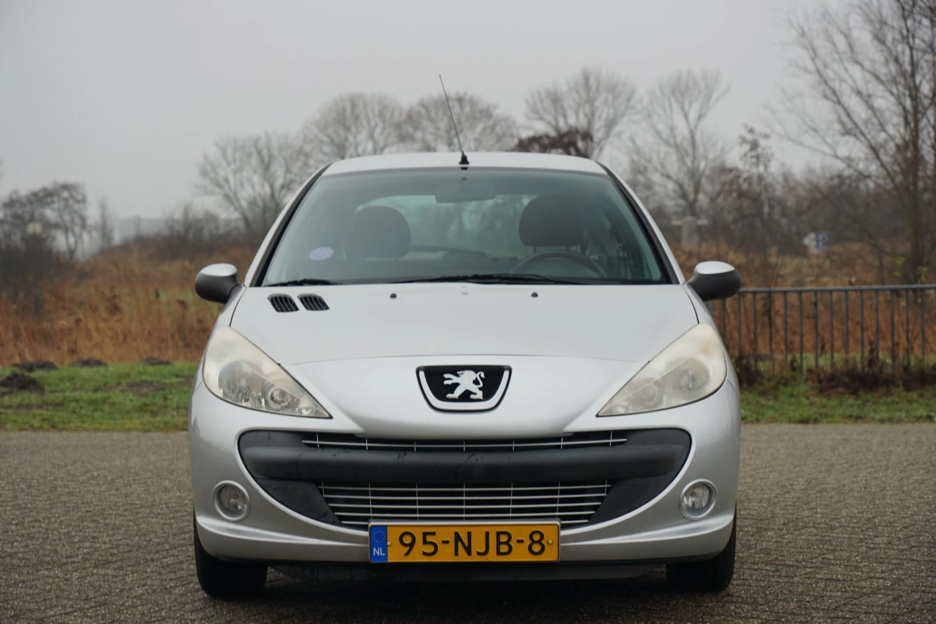 Hoofdafbeelding Peugeot 206