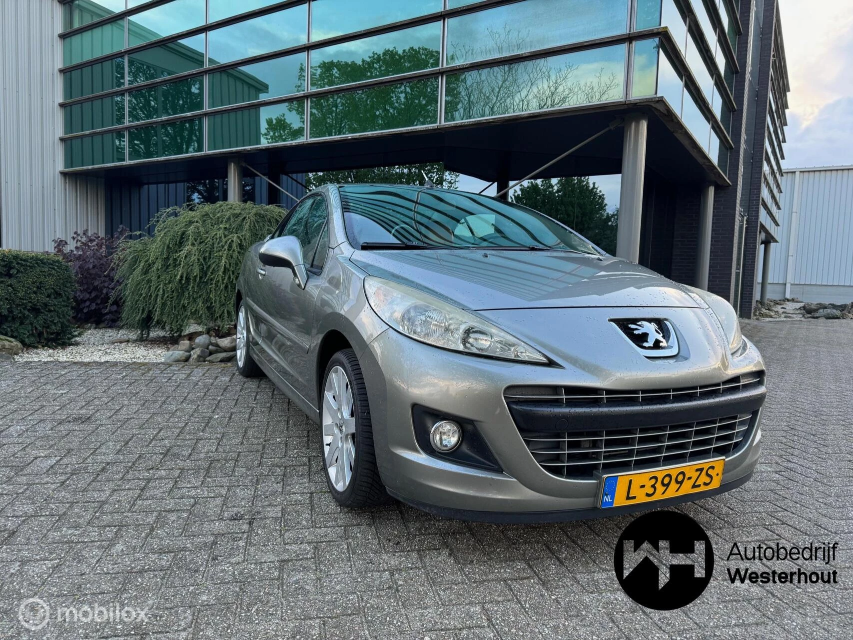 Hoofdafbeelding Peugeot 207