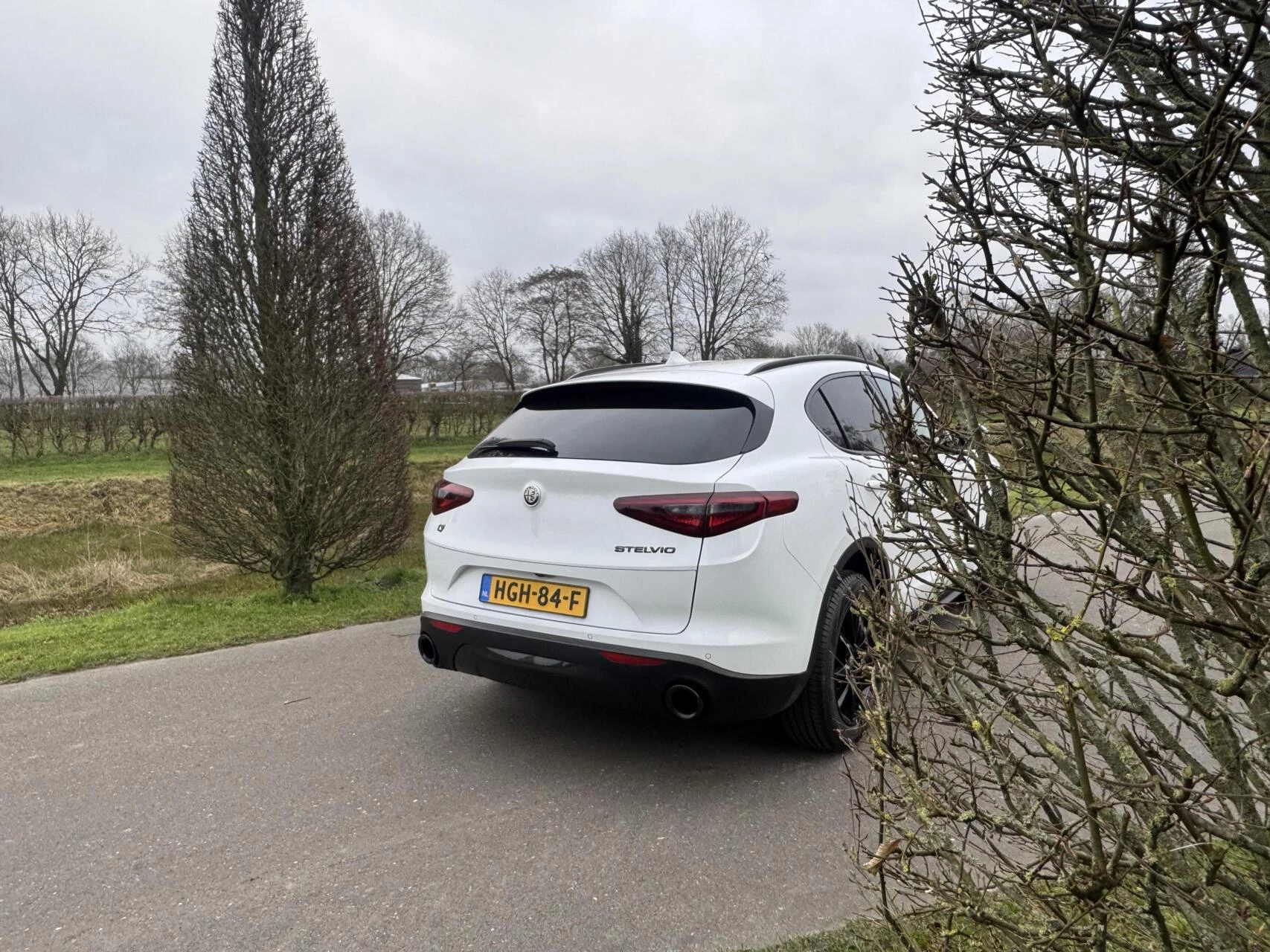 Hoofdafbeelding Alfa Romeo Stelvio