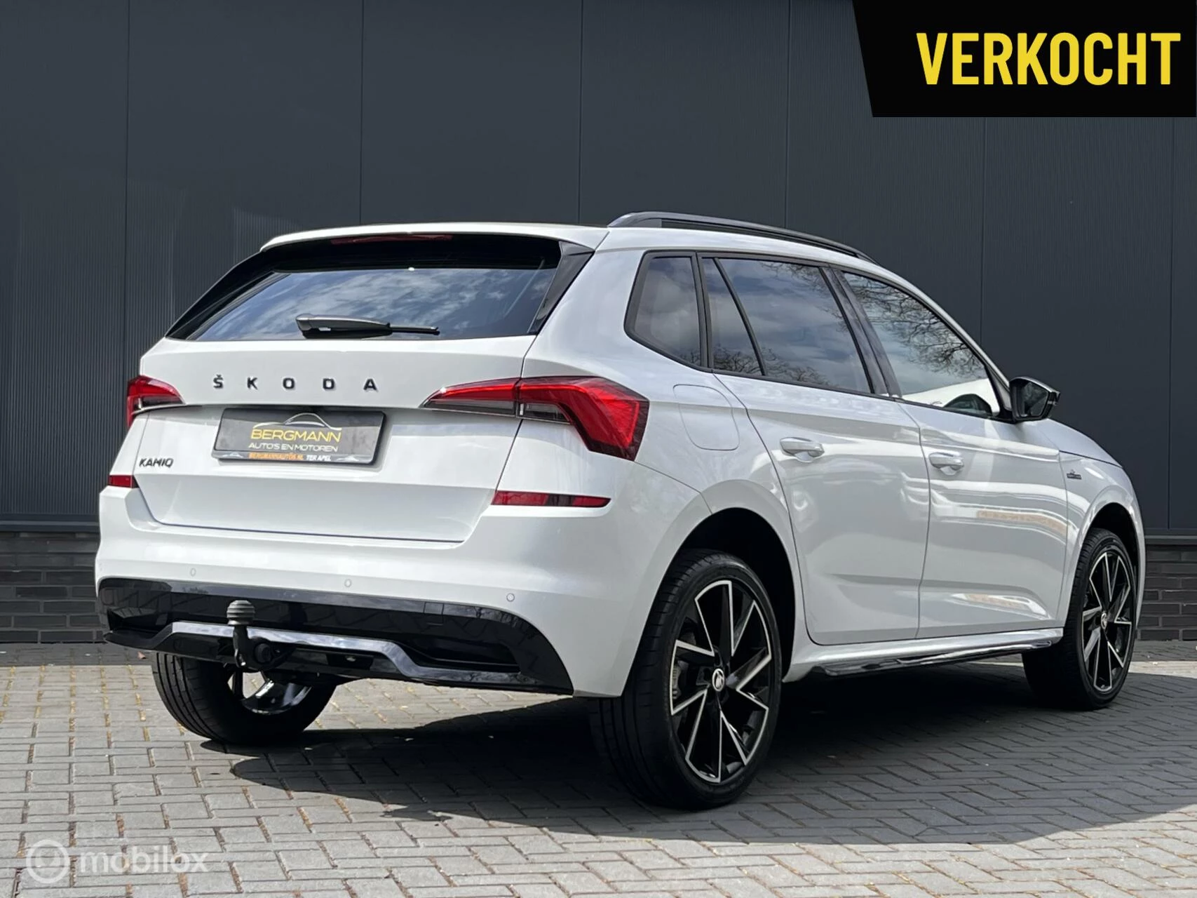 Hoofdafbeelding Škoda Kamiq
