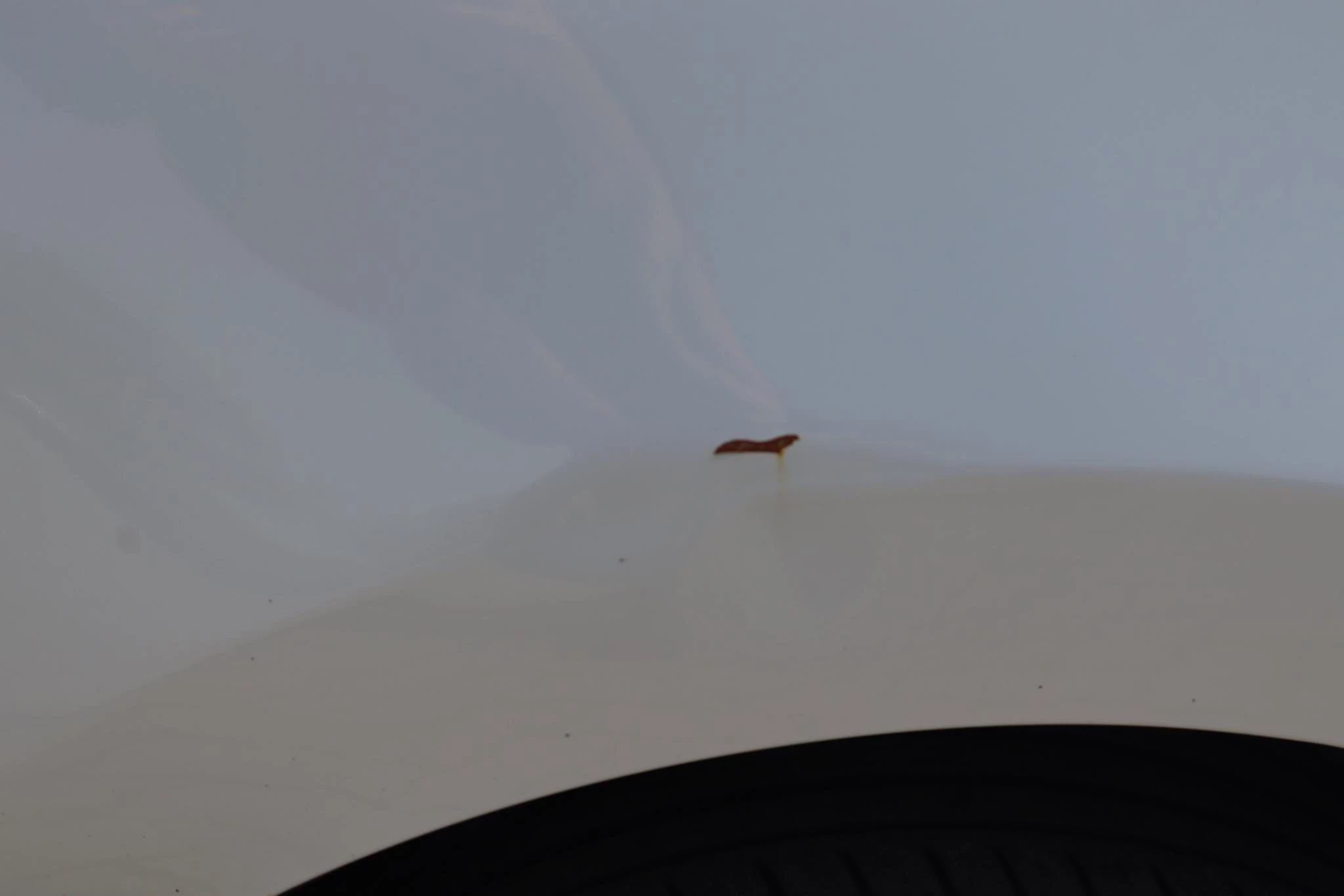 Hoofdafbeelding Suzuki Alto