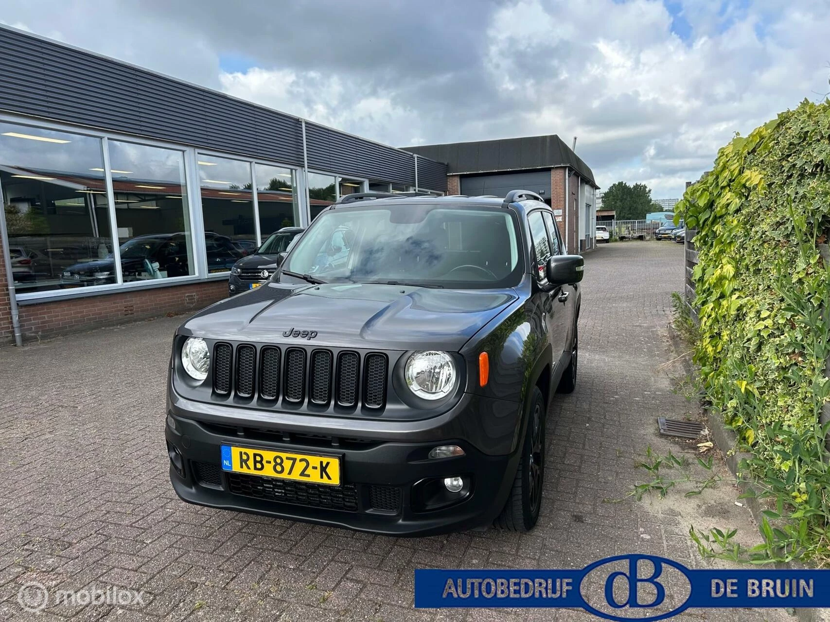 Hoofdafbeelding Jeep Renegade