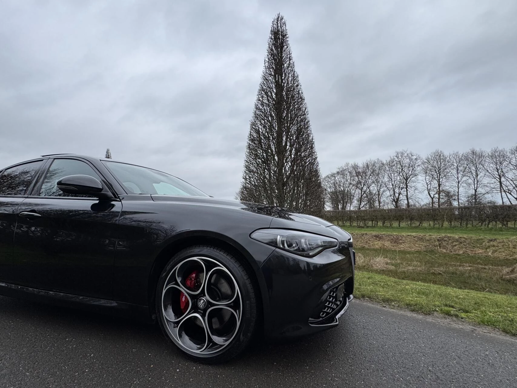 Hoofdafbeelding Alfa Romeo Giulia