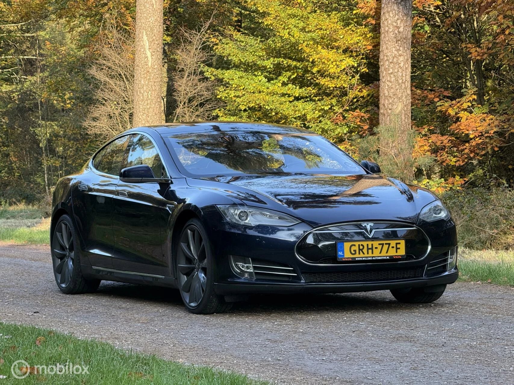 Hoofdafbeelding Tesla Model S