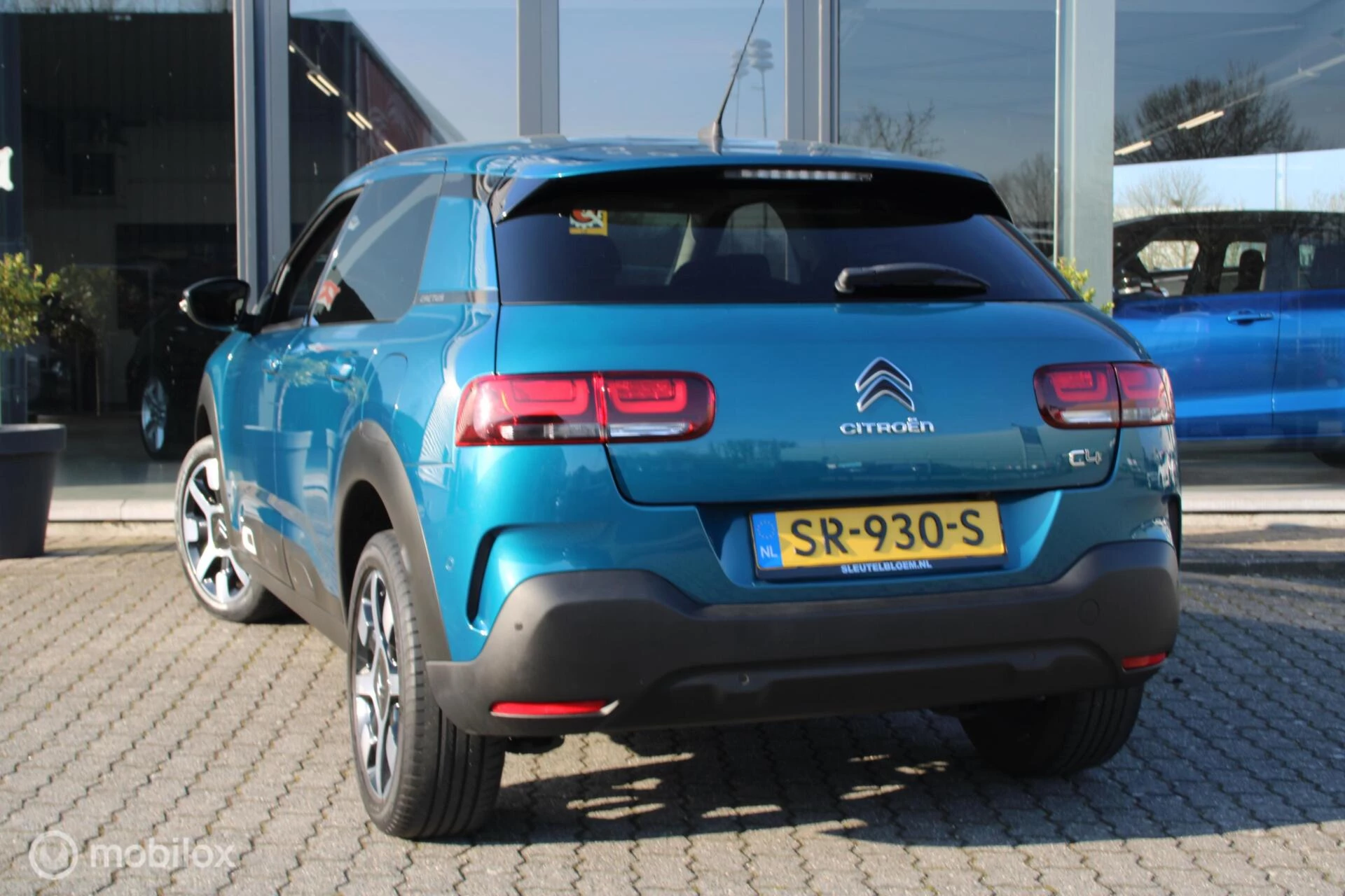 Hoofdafbeelding Citroën C4 Cactus