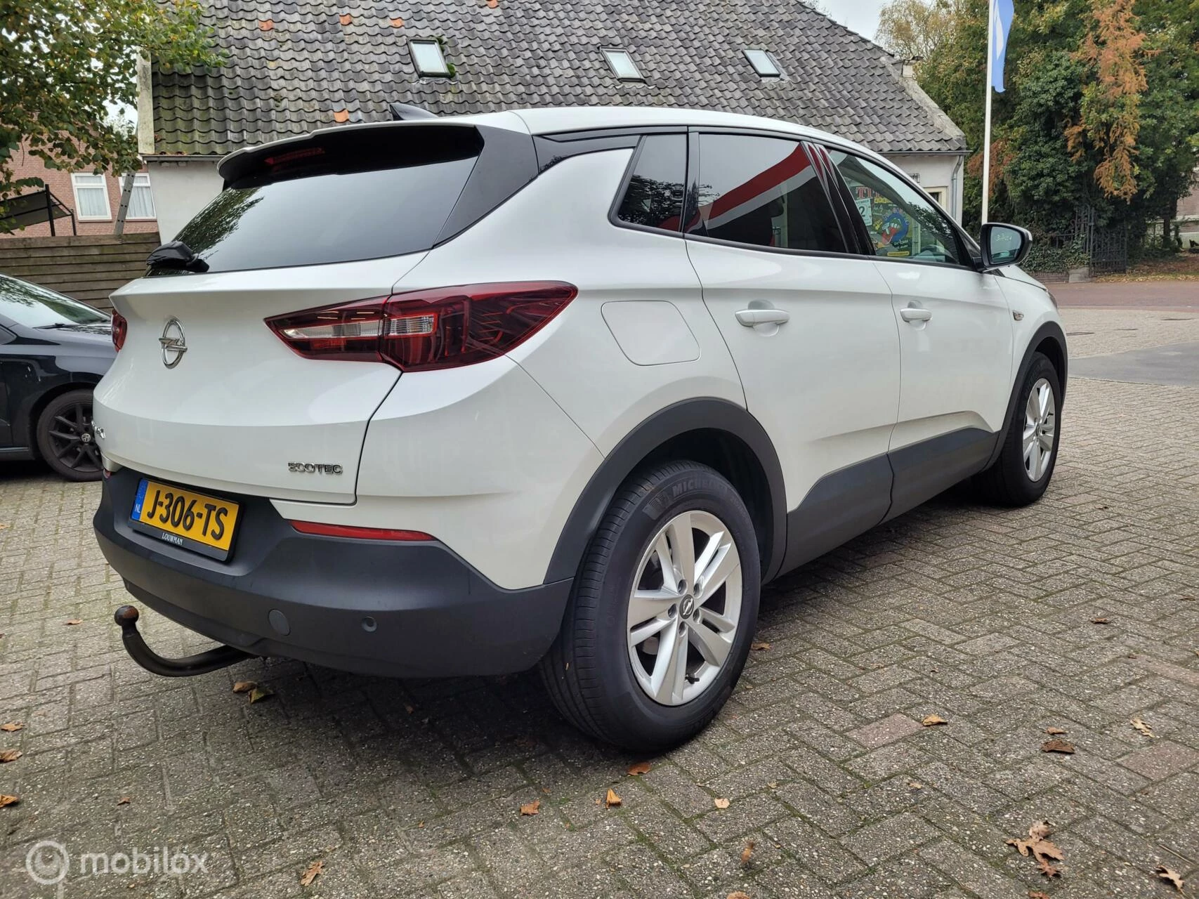 Hoofdafbeelding Opel Grandland X