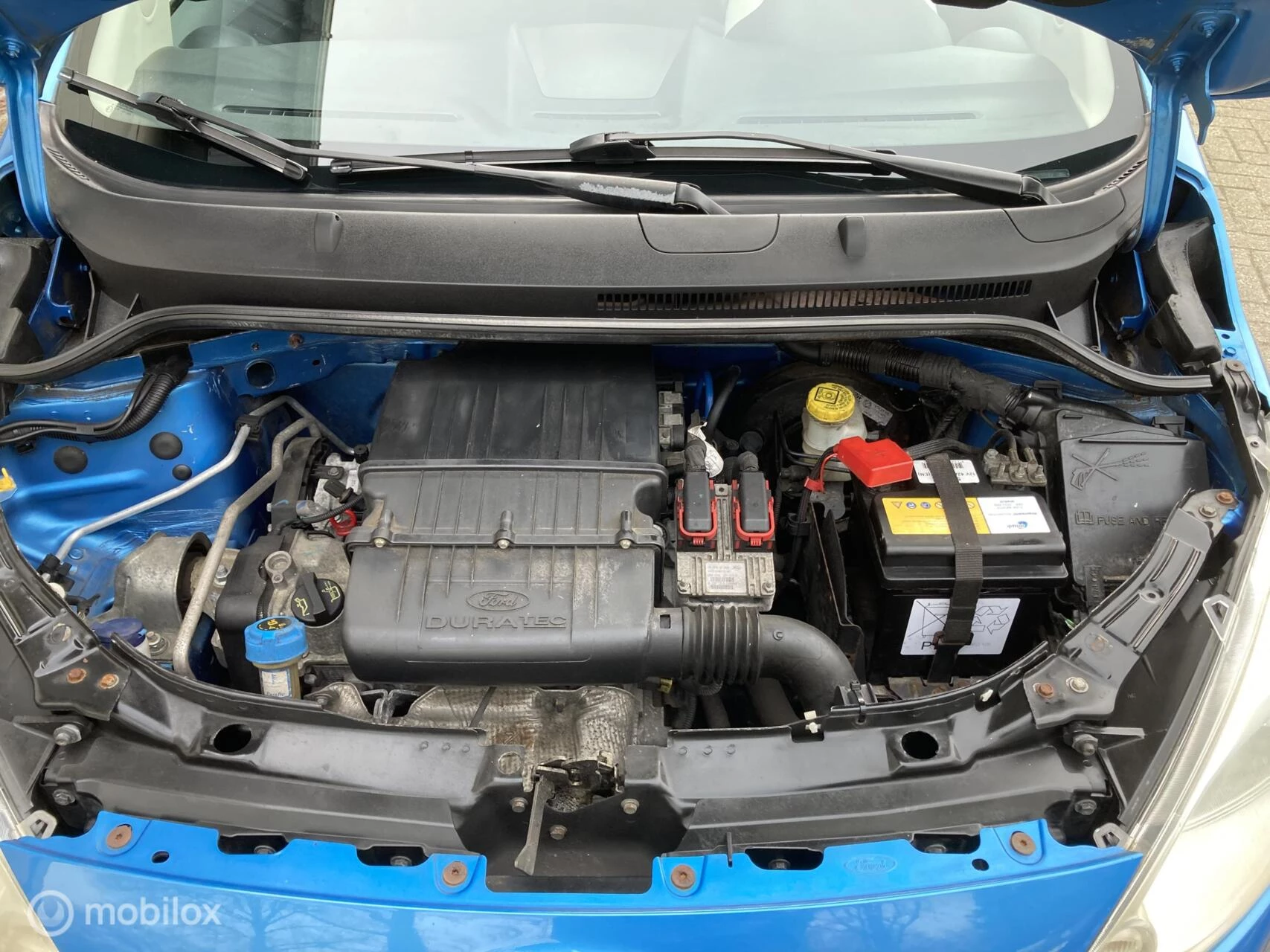 Hoofdafbeelding Ford Ka