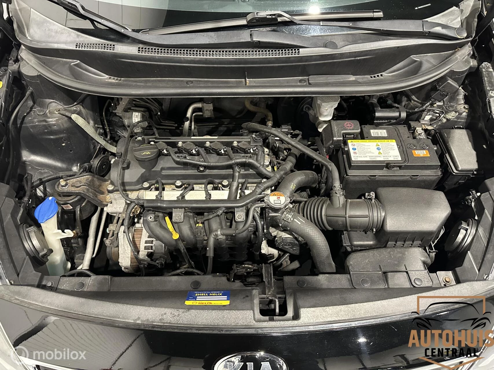 Hoofdafbeelding Kia Rio