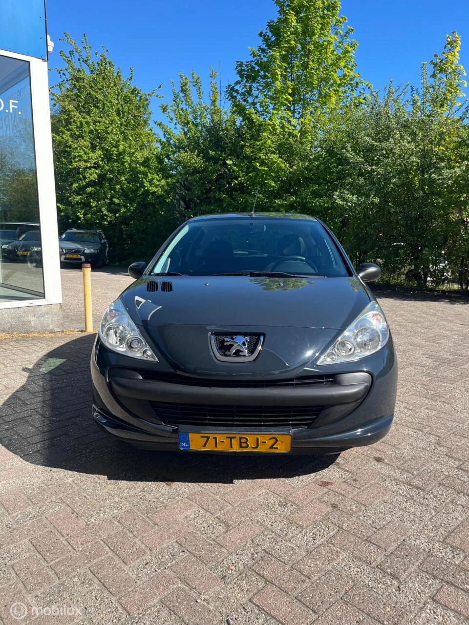 Hoofdafbeelding Peugeot 206