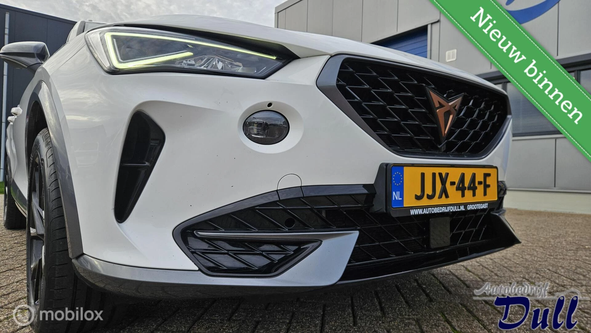 Hoofdafbeelding CUPRA Formentor