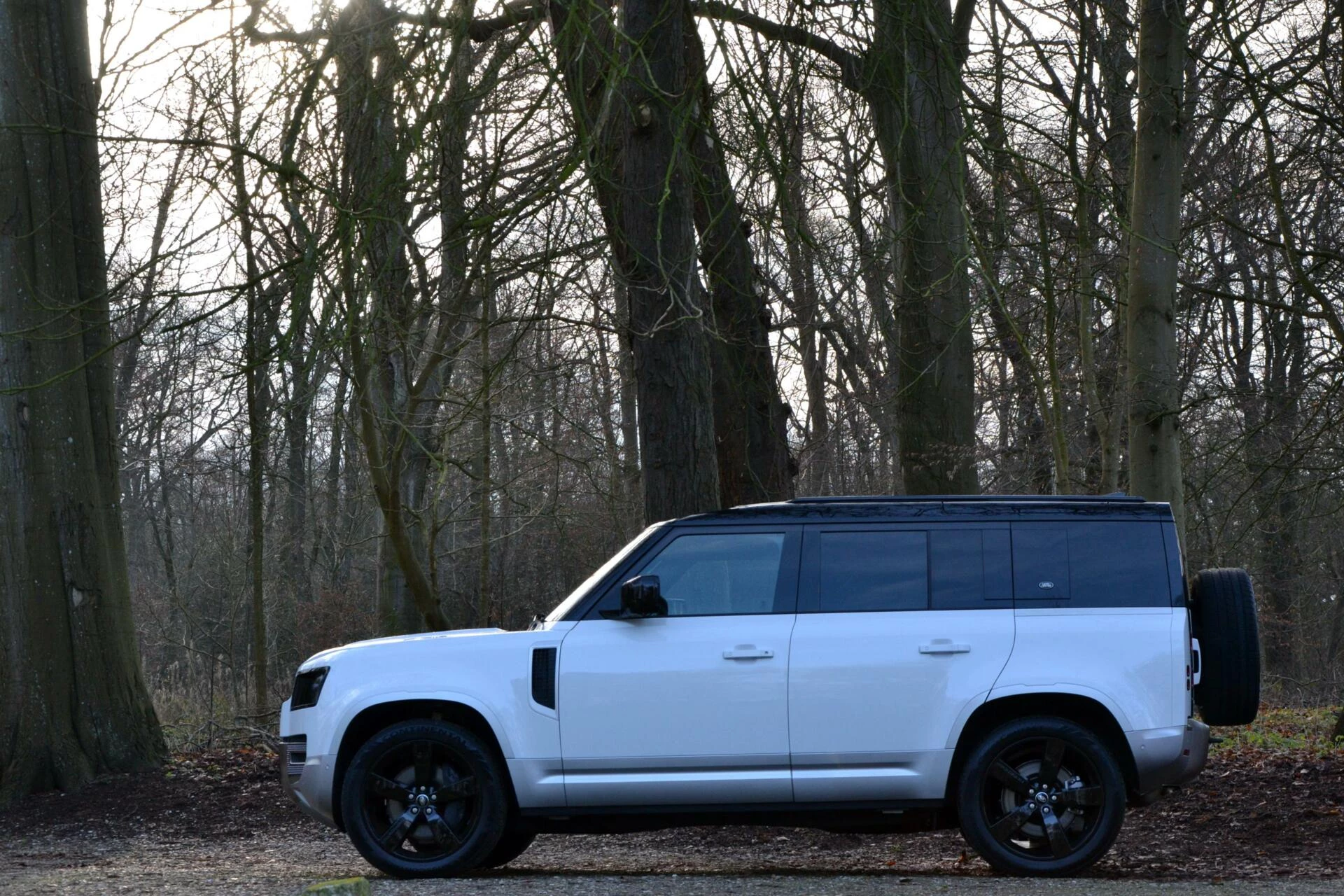 Hoofdafbeelding Land Rover Defender