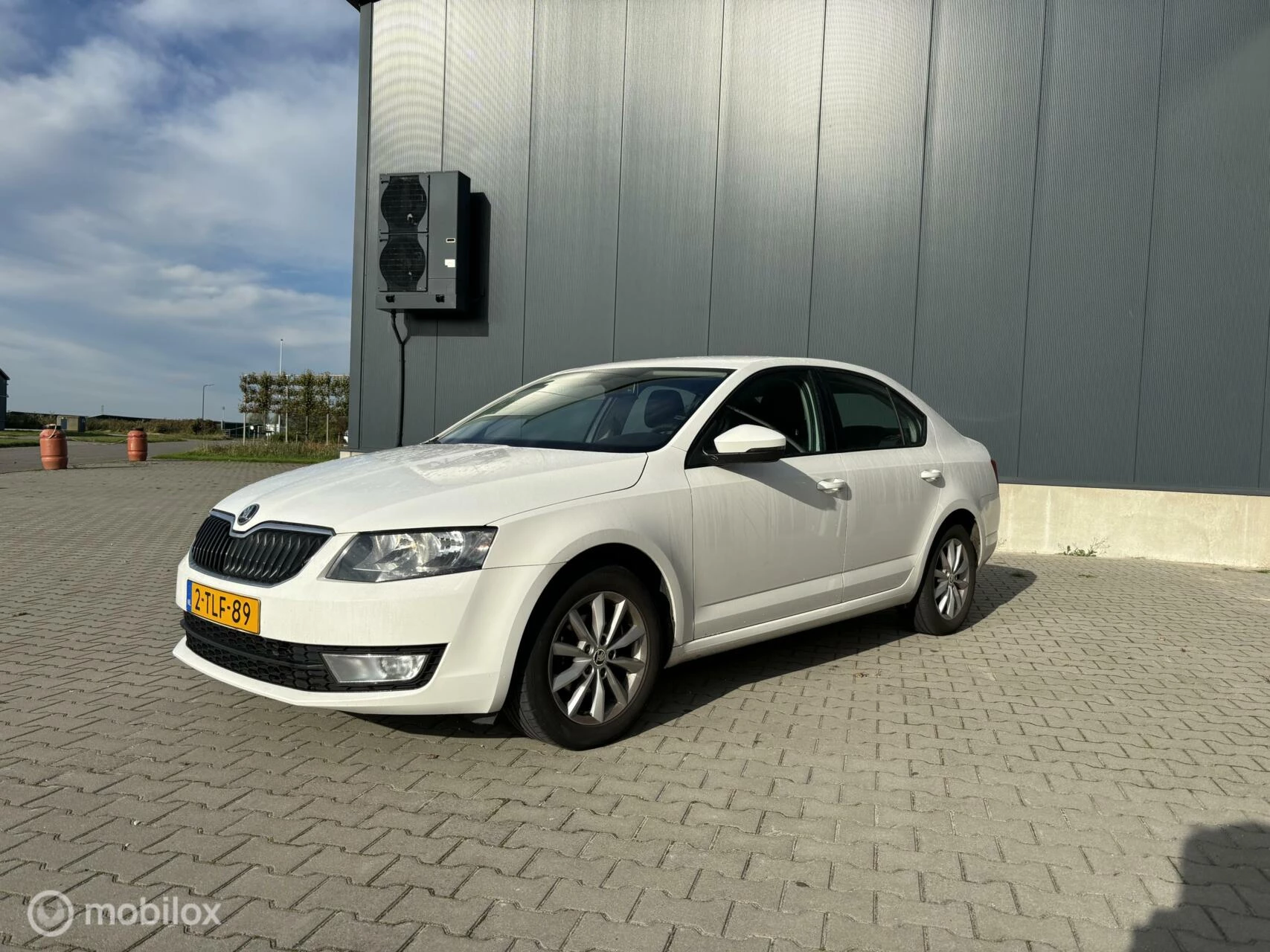 Hoofdafbeelding Škoda Octavia