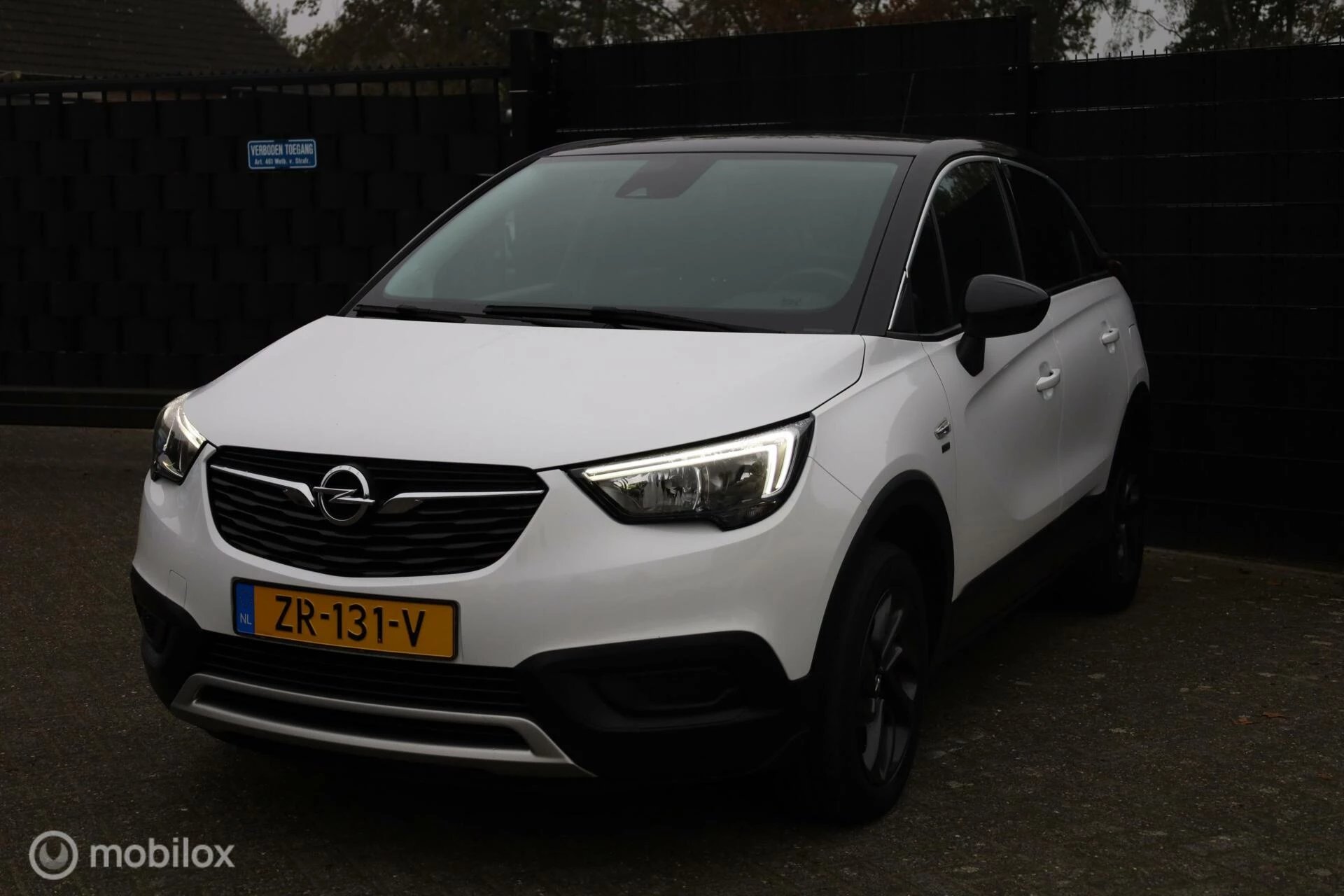 Hoofdafbeelding Opel Crossland X