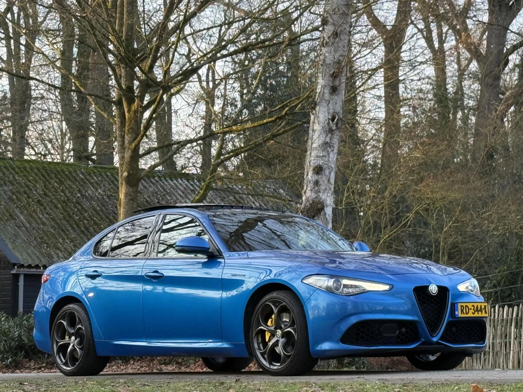 Hoofdafbeelding Alfa Romeo Giulia