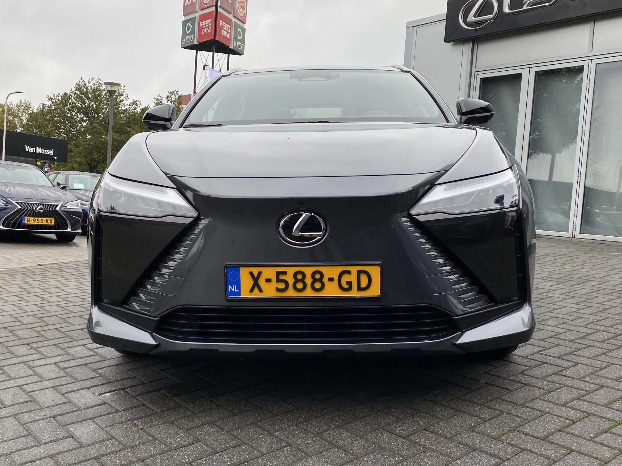 Hoofdafbeelding Lexus RZ