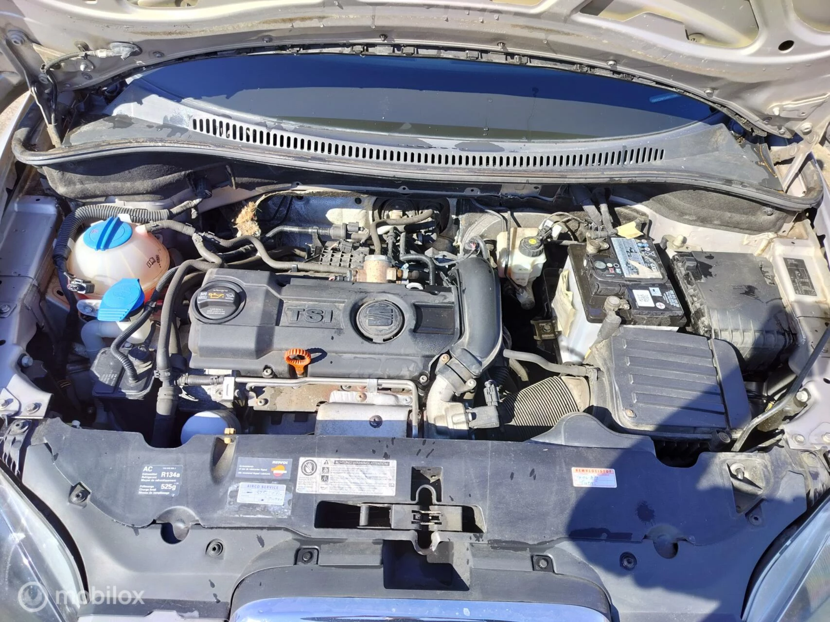 Hoofdafbeelding SEAT Altea