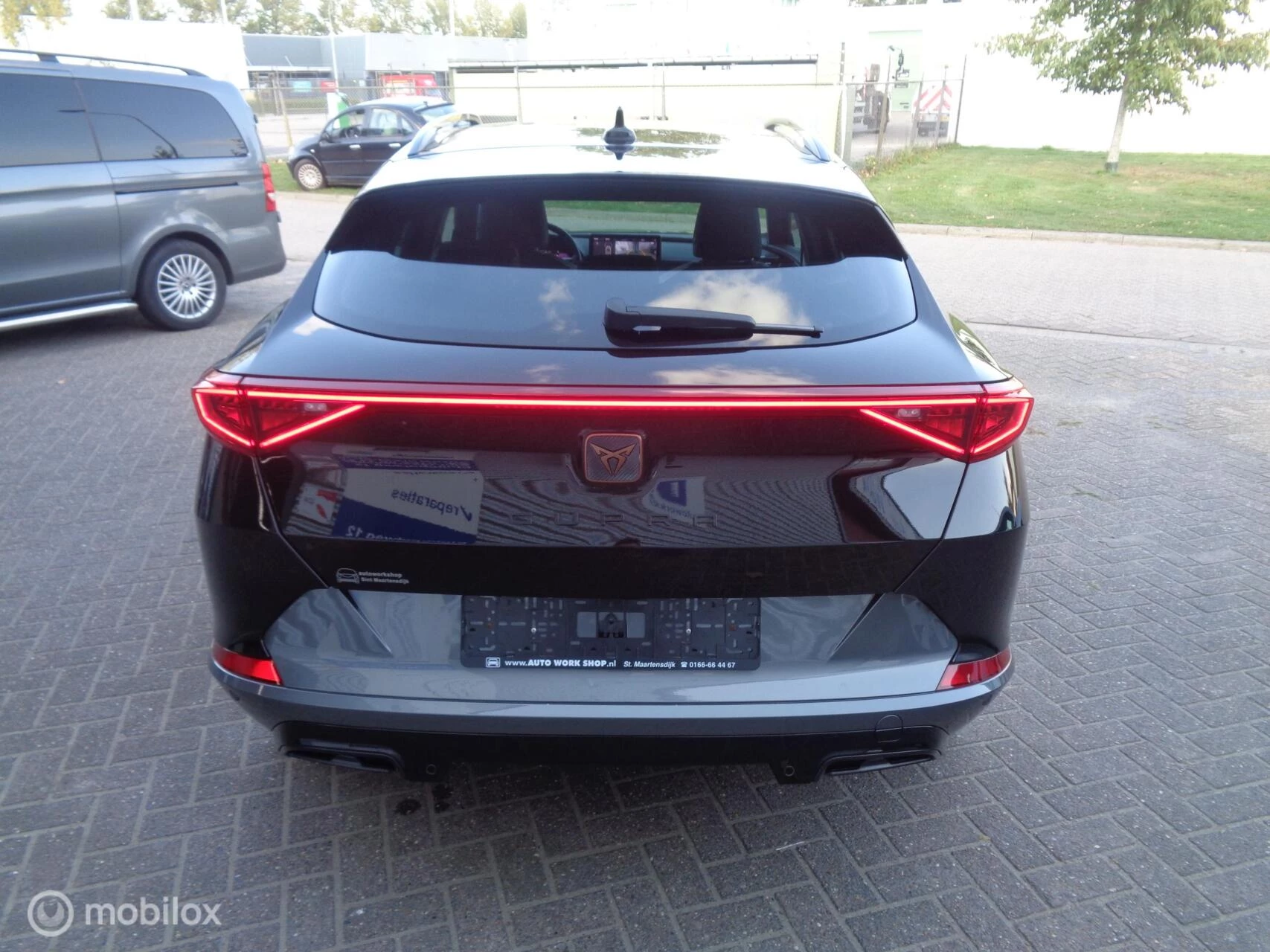 Hoofdafbeelding CUPRA Formentor