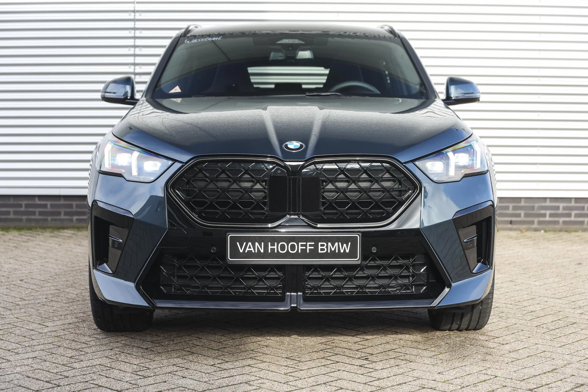 Hoofdafbeelding BMW X2