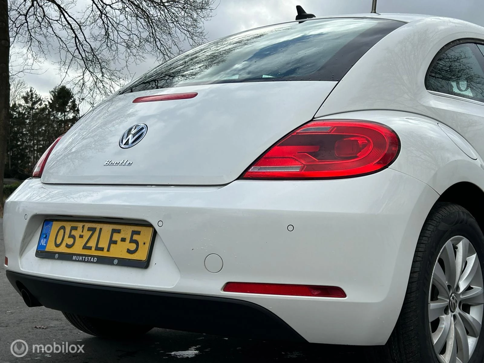 Hoofdafbeelding Volkswagen Beetle