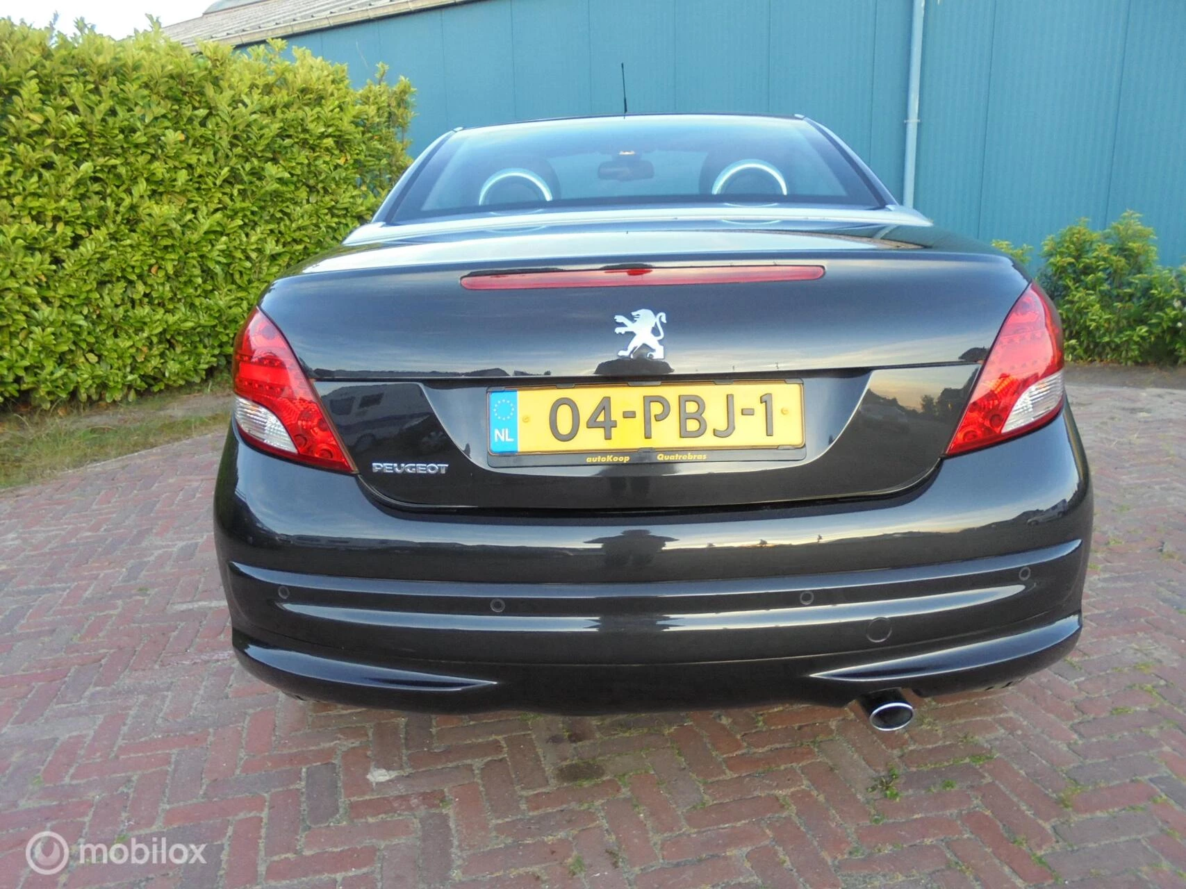 Hoofdafbeelding Peugeot 207