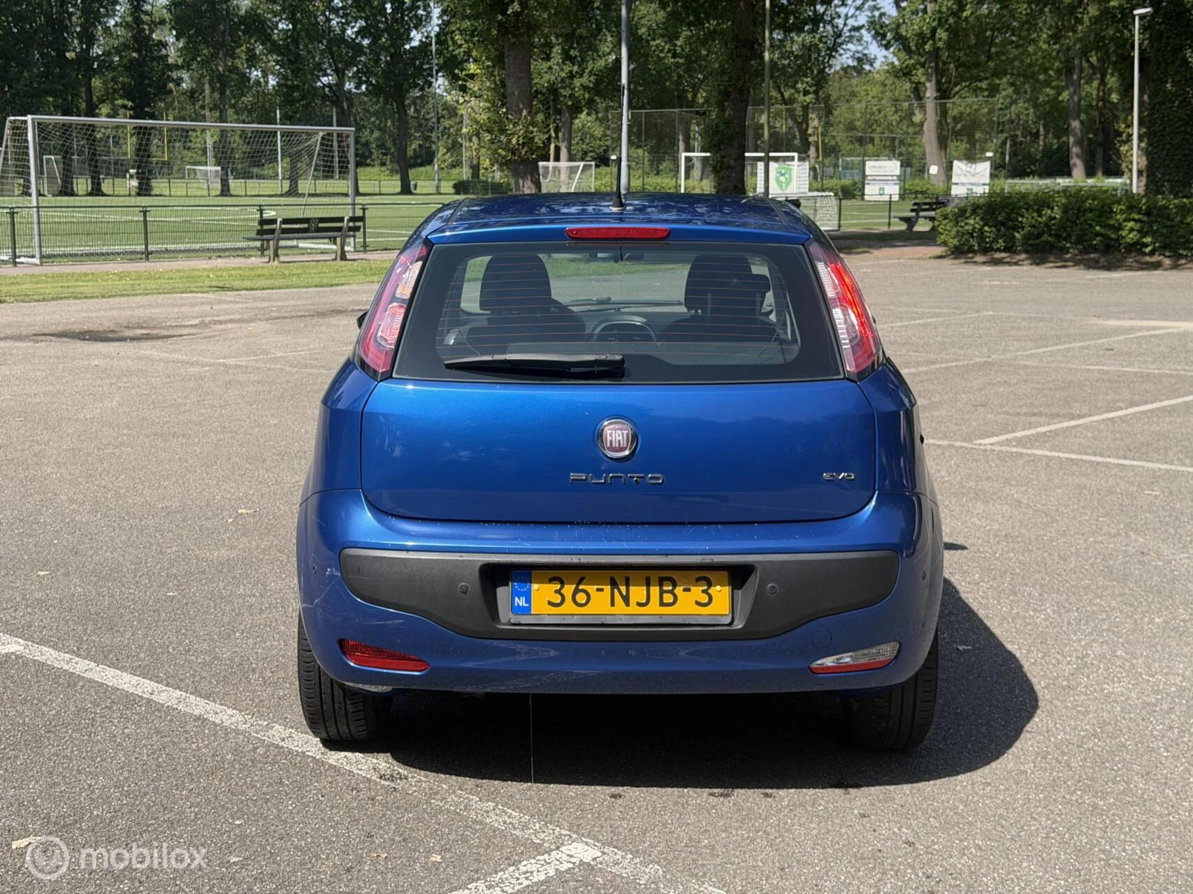 Hoofdafbeelding Fiat Punto