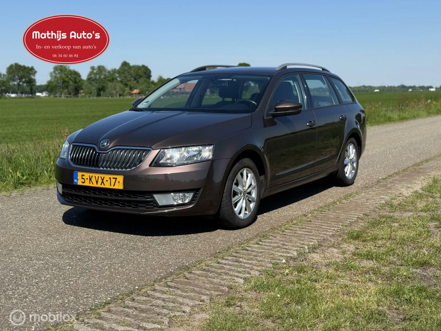 Hoofdafbeelding Škoda Octavia
