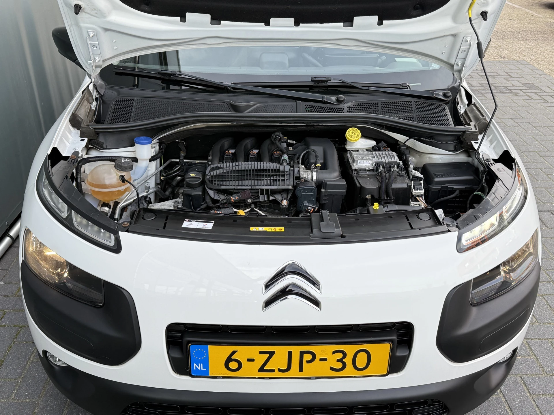 Hoofdafbeelding Citroën C4 Cactus