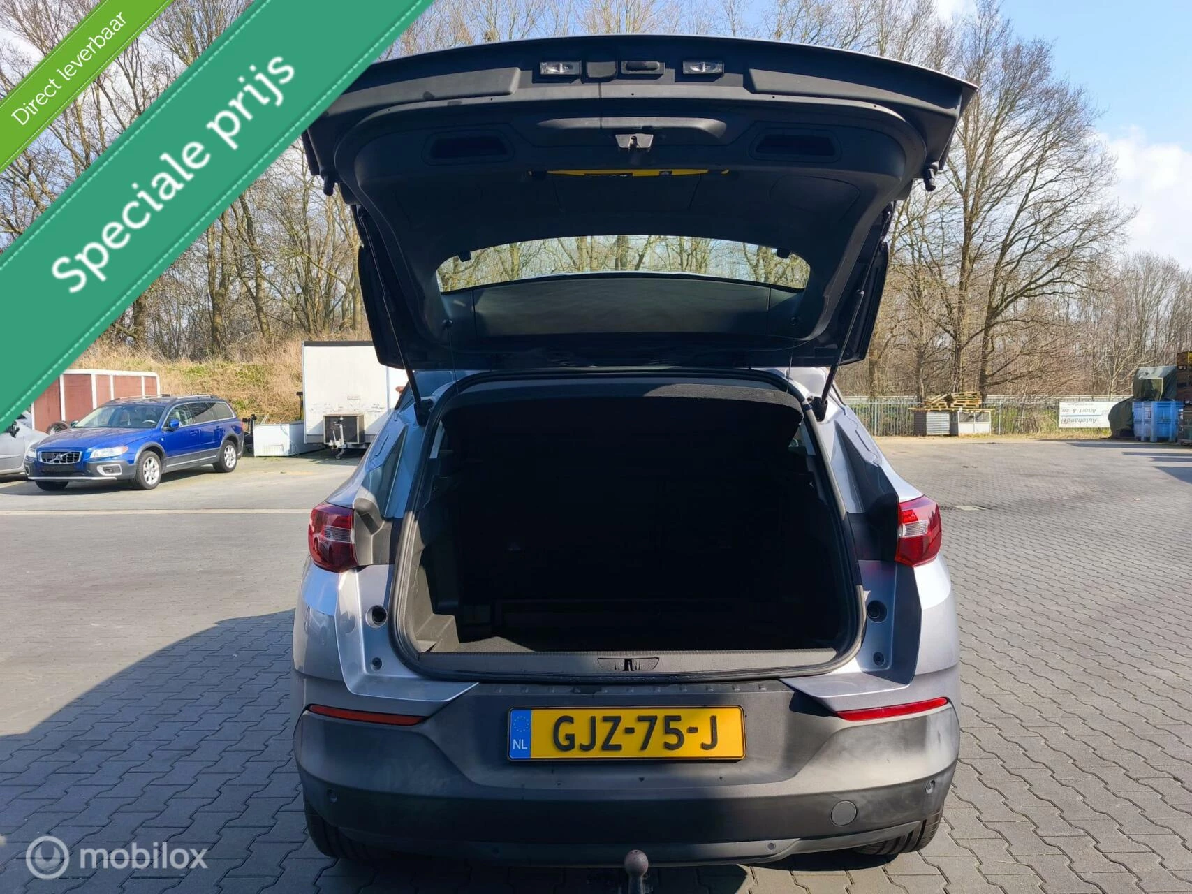 Hoofdafbeelding Opel Grandland X