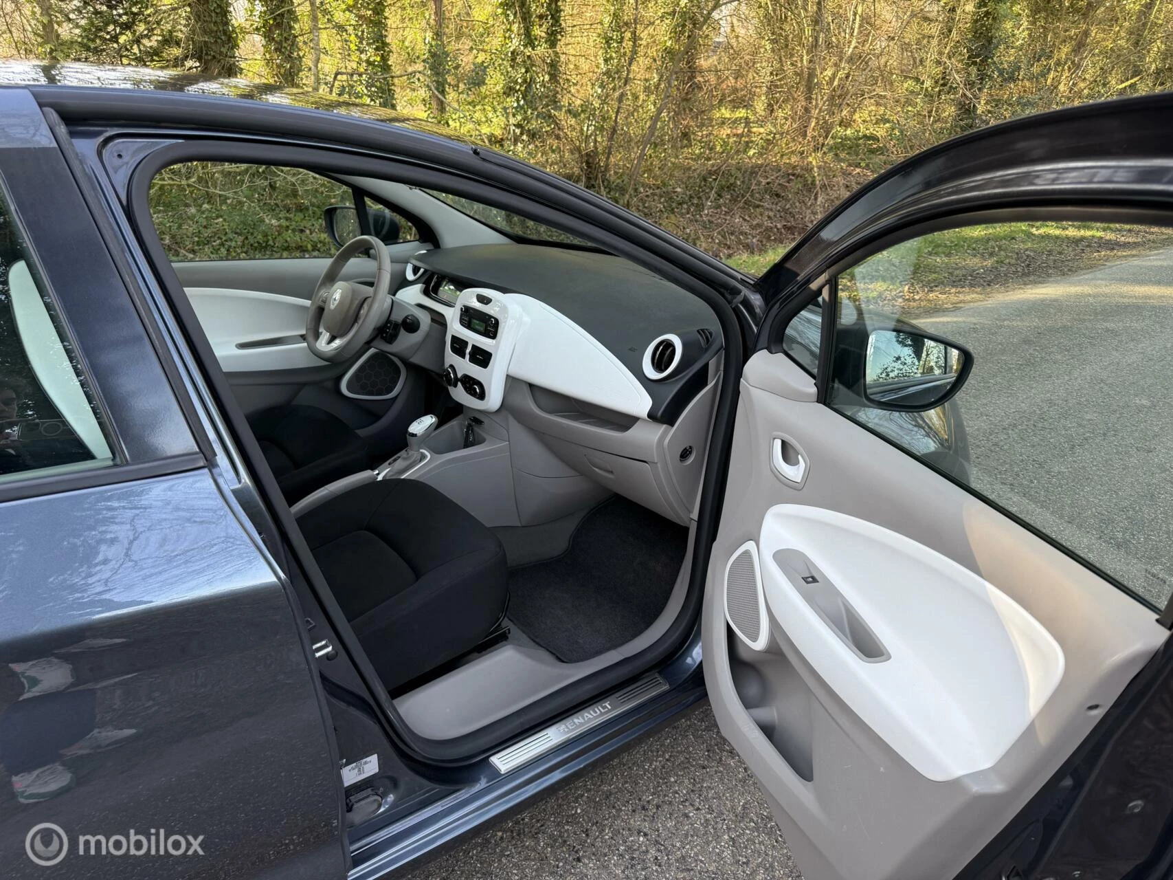 Hoofdafbeelding Renault ZOE